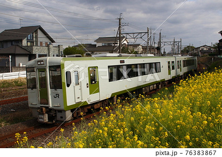 ナノハナと八高線キハ110（高麗川⇔高崎） 76383867