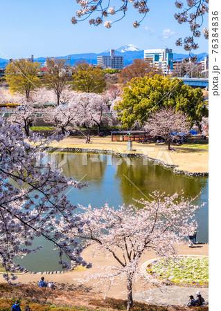 春の前橋公園(縦) 春の前橋公園(縦) 76384836