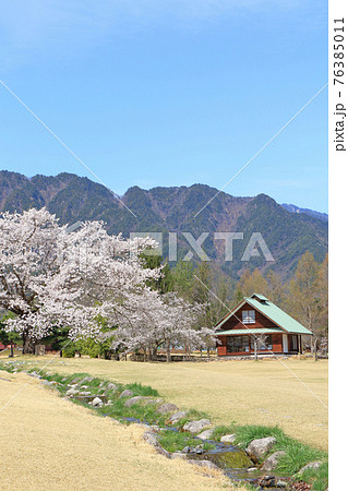 桜咲く春の安曇野ちひろ公園 桜咲く春の安曇野ちひろ公園 76385011