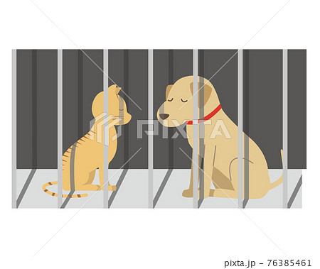 殺処分される犬と猫 76385461