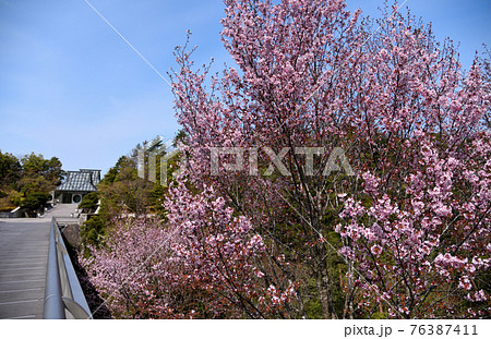 MIHO MUSEUM 76387411