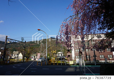 箱根登山鉄道の強羅駅の踏み切りと桜と空の写真素材