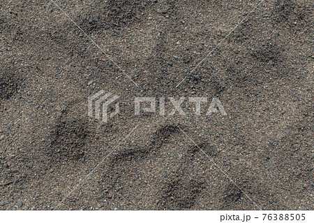 カナダ　小石　砂場の地面 76388505