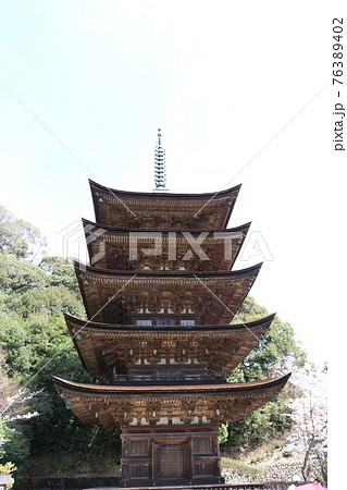 山口　山口市　瑠璃光寺　五重塔　桜　春 76389402