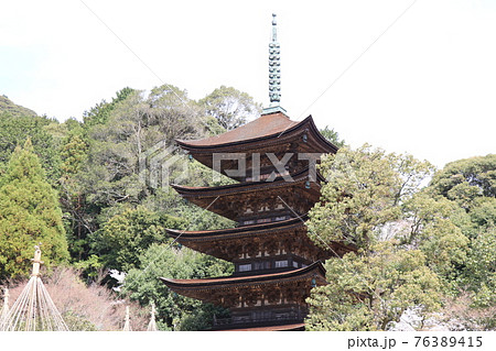 山口　山口市　瑠璃光寺　五重塔　桜　春 76389415