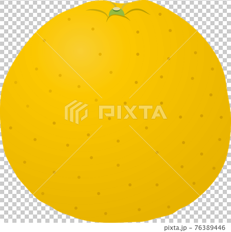 河內康拜 河內康拜 76389446