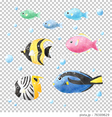 Tropical Fish Clip Art Stock Illustrations – 4,248 Tropical Fish