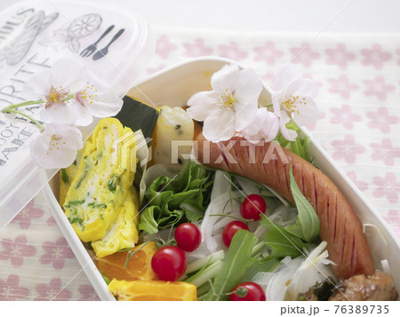 春のイメージ かわいいお弁当 春のイメージ かわいいお弁当 76389735