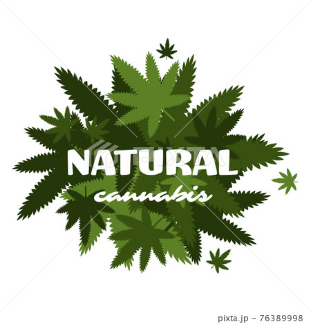 Medical Cannabis Or Marijuana Leaf Badge Hemp のイラスト素材