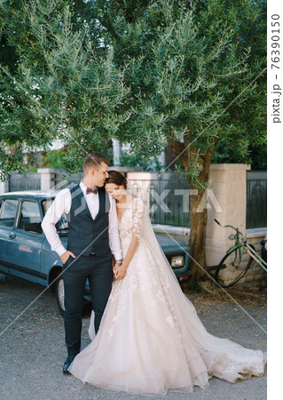 Wedding couple cuddles on the background of a large olive tree and a vintage blue car. Fine-art wedding photo in Montenegro, Perast. 76390150
