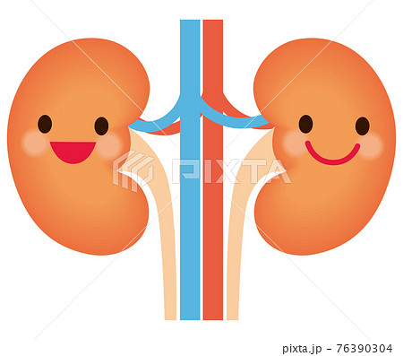 健康な腎臓　キャラクター 76390304