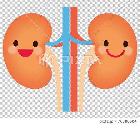 健康な腎臓　キャラクター 76390304