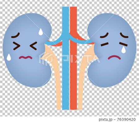 不健康な腎臓　キャラクター 76390420