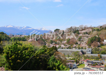 春の霞ヶ城公園（福島県・二本松市） 76390557