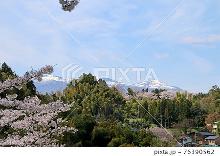春の霞ヶ城公園・安達太良山（福島県・二本松市） 76390562