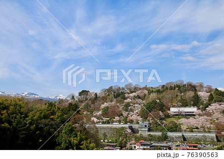 春の霞ヶ城公園（福島県・二本松市） 76390563