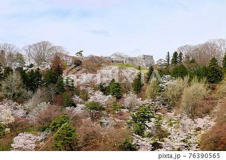 春の霞ヶ城公園・天守閣跡（福島県・二本松市） 76390565