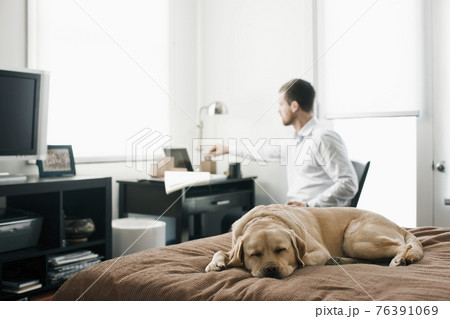 Caucasian businessman working in bedroom Caucasian businessman working in bedroom 76391069