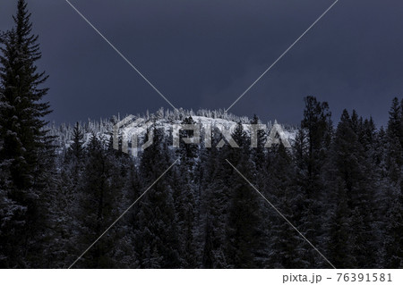 United States, Idaho, Sun Valley, Sunlight on snowy hilltop in winter forest 76391581