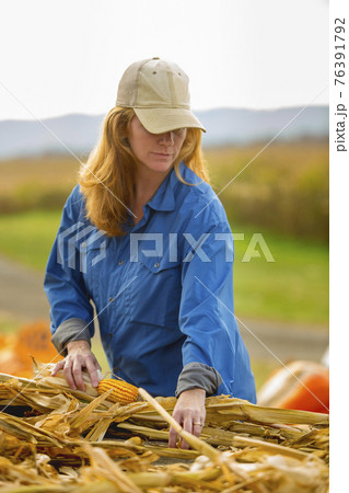 United States, Virginia, Woman harvesting pumpkins United States, Virginia, Woman harvesting pumpkins 76391792