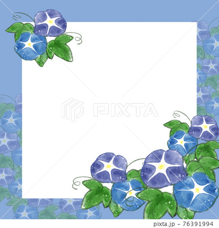 青フレームの朝顔の手描きイラストのイラスト素材