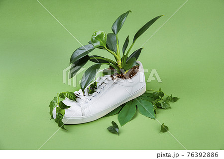 recycle and upcycle for environment 76392886