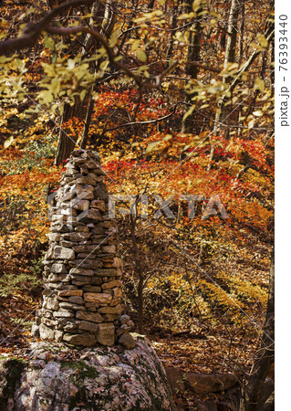 colorful Autumn scenery 76393440
