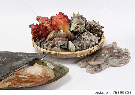 squid and seafood squid and seafood 76399853