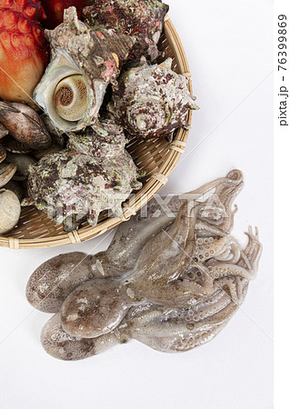 assorted seafood and squid 76399869