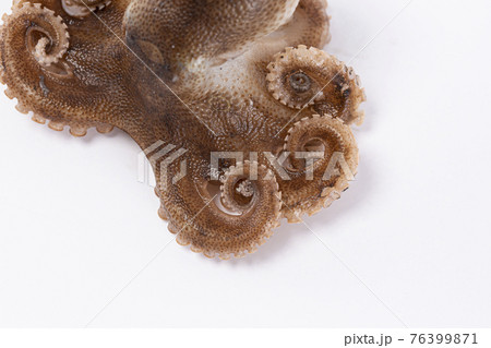 grilled octopus leg, white background 76399871