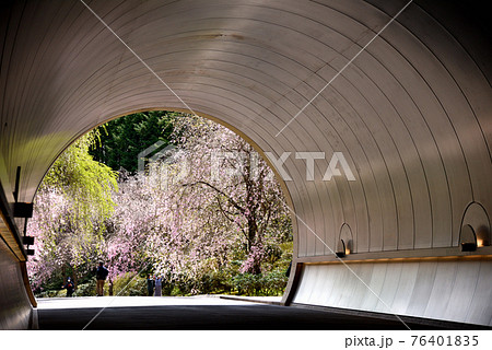 Entrance To Miho Museum Japan Stock Photo, Picture and Royalty