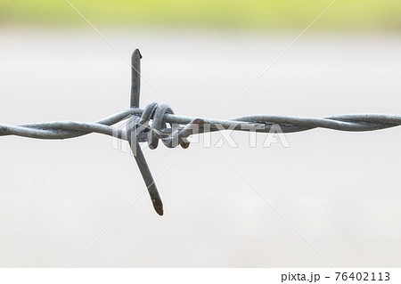 background textured barbed wire of fence for safe at home  76402113