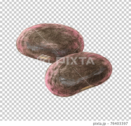 2 purple flower beans, watercolor pencil drawing 2 purple flower beans, watercolor pencil drawing 76403397