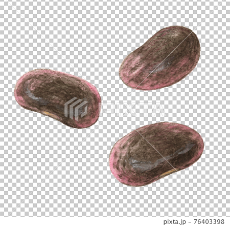 3 purple flower beans, watercolor pencil drawing 3 purple flower beans, watercolor pencil drawing 76403398
