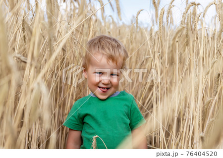 Portrait of cute little caucasian blond smiling happy kid boy walking by ripe golden wheat field meadow landscape against blue clear sky. Funny small child at countryside outdoors on bright sunny day 76404520