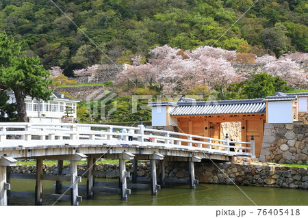 【鳥取県】満開の桜の鳥取城跡(久松公園 擬宝珠橋) 【鳥取県】満開の桜の鳥取城跡(久松公園 擬宝珠橋) 76405418