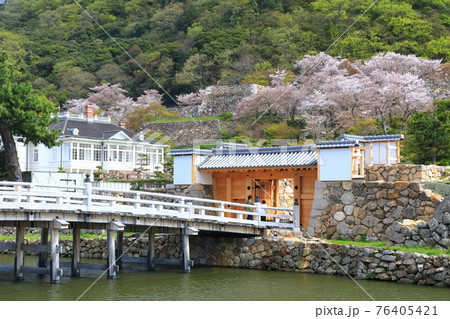 【鳥取県】満開の桜の鳥取城跡（久松公園　擬宝珠橋） 76405421