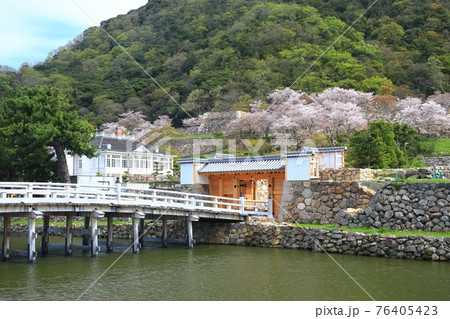 【鳥取県】満開の桜の鳥取城跡（久松公園　擬宝珠橋） 76405423