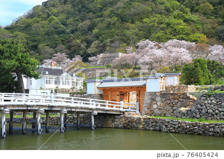 【鳥取県】満開の桜の鳥取城跡（久松公園　擬宝珠橋） 76405424
