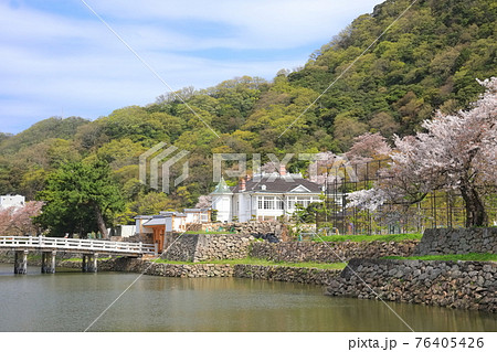 【鳥取県】満開の桜の鳥取城跡（久松公園　仁風閣） 76405426
