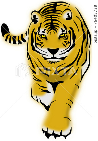 イラスト　原画　アンナ・スマルシュク 「虎」 歩く虎のイラスト素材 [76405739] - PIXTA