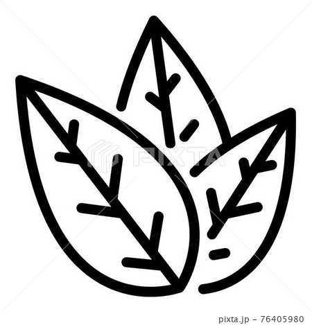 Tea leaf icon, outline style 76405980