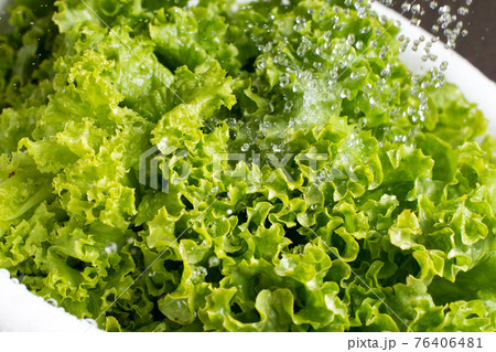 Fresh lettuce rinsed with water in the white colander 76406481