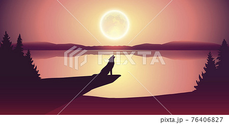 wolf howls at full moon by lake nature landscape 76406827