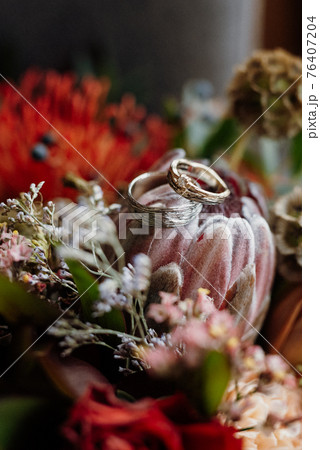 Gold wedding rings licked under the bark of a tree Gold wedding rings licked under the bark of a tree 76407204