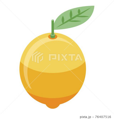 Whole lemon icon, isometric style 76407516