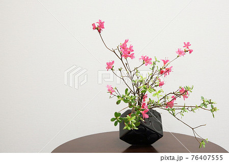 テーブルの上の花瓶に活けられた赤いつつじ 76407555