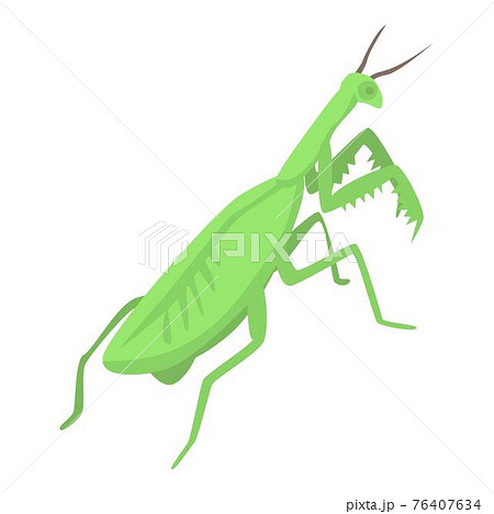 Female mantis icon, isometric style 76407634