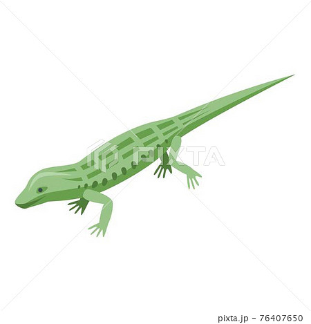 Wild reptile icon, isometric style 76407650