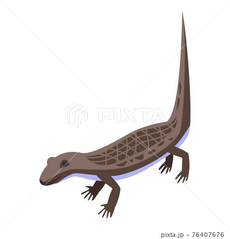 Tree reptile icon, isometric style 76407676